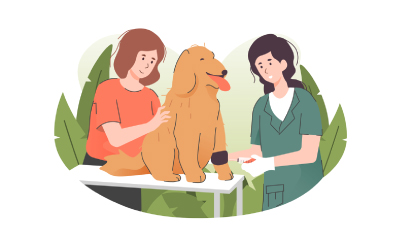 Animal First Aid