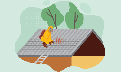 Asbestos Awareness for Architects and Designer